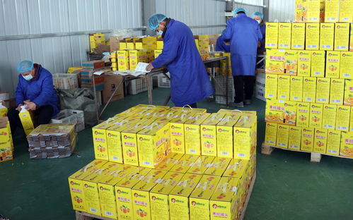 陕西大荔农产品深加工 华丽转身 身价倍增20多个新品种走红春节市场