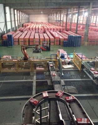 湖北汉川:农产品加工厂--解决卖难 促进就业